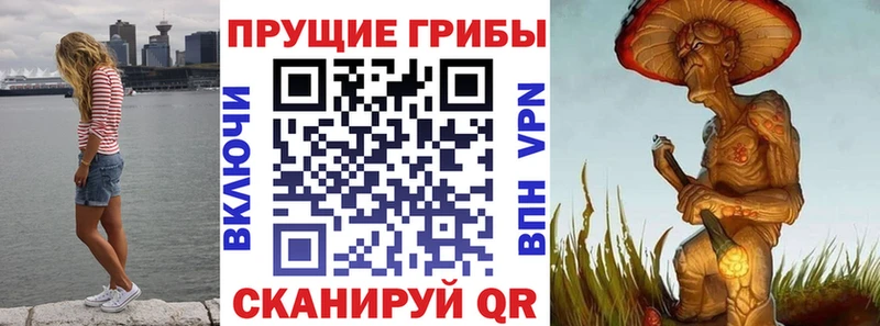 Купить  Таганрог  Галлюциногенные грибы MAGIC MUSHROOMS 